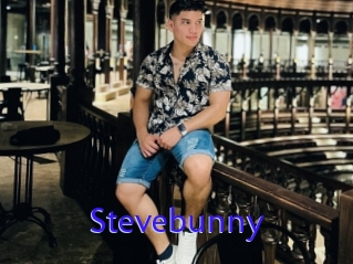 Stevebunny