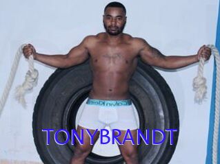 TONYBRANDT