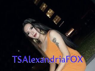 TSAlexandriaFOX