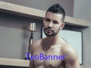 TeoBanner