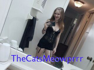 TheCatsMeowprrr