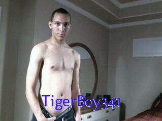 TigerBoy341