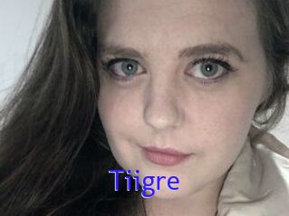 Tiigre_