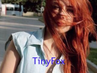 TinyFox