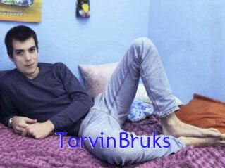 TorvinBruks