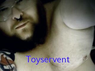 Toyservent