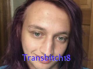 Transbitch18