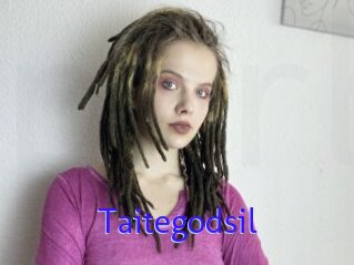 Taitegodsil