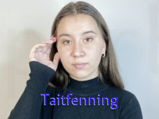 Taitfenning