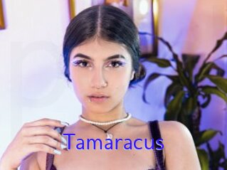 Tamaracus