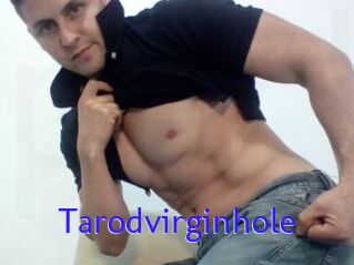 Tarodvirginhole