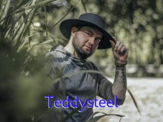 Teddysteel