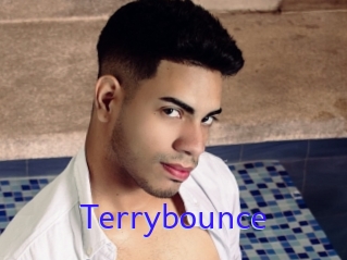 Terrybounce