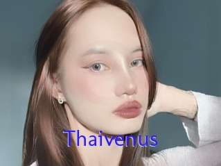 Thaivenus