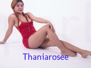 Thaniarosee