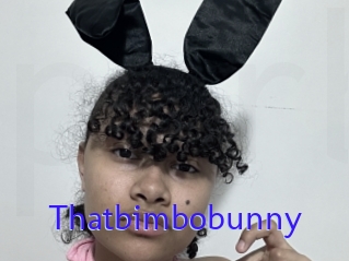 Thatbimbobunny