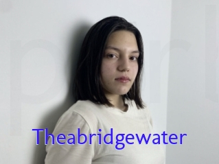 Theabridgewater