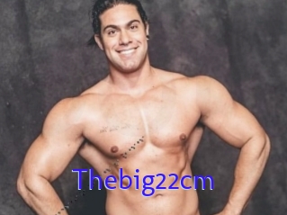 Thebig22cm