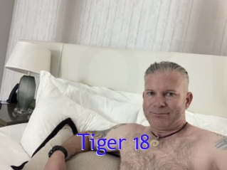 Tiger_18