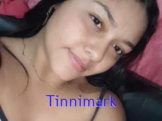 Tinnimark