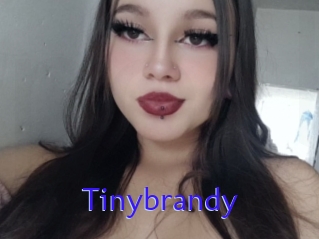 Tinybrandy