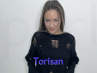 Torisan