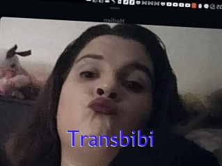 Transbibi