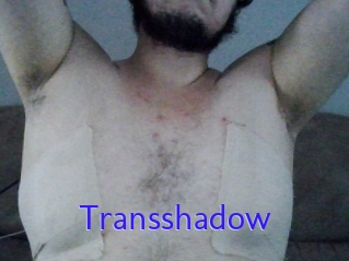 Transshadow