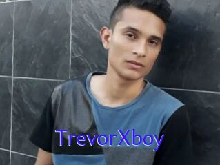 TrevorXboy