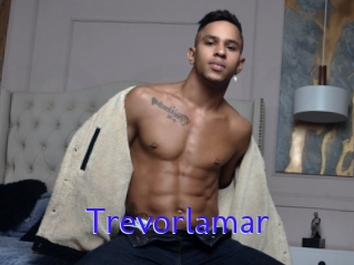 Trevorlamar