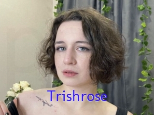 Trishrose