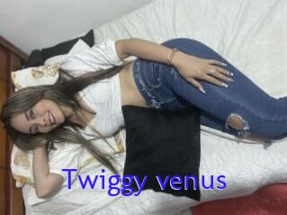 Twiggy_venus