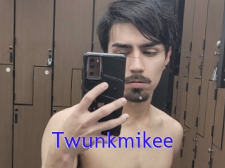 Twunkmikee