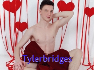 Tylerbridges