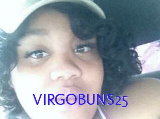 VIRGOBUNS25