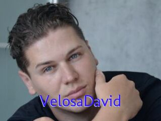 VelosaDavid