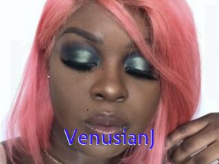 VenusianJ