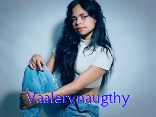 Vaalerynaugthy