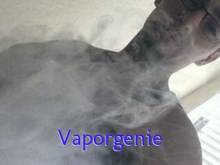 Vapor_genie