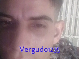 Vergudo1235