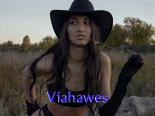 Viahawes