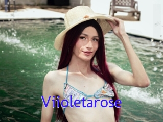 Viioletarose