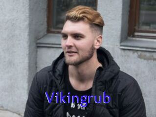 Vikingrub