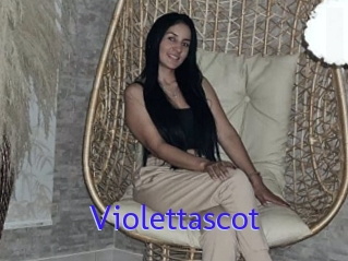 Violettascot