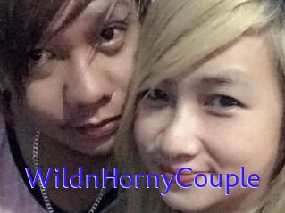 WildnHornyCouple