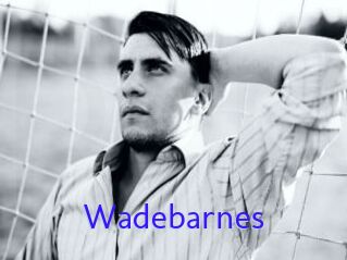 Wadebarnes