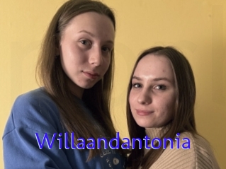 Willaandantonia