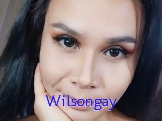 Wilsongay