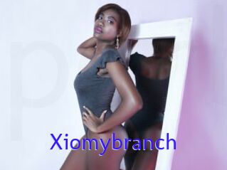 Xiomybranch