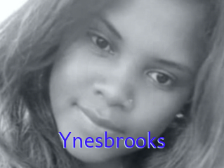 Ynesbrooks